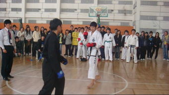 远东杯 大学生跆拳道交流赛活动