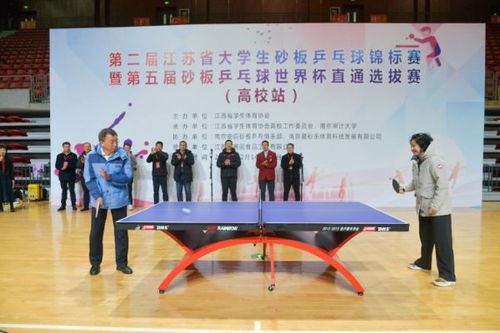 第二届江苏省大学生砂板乒乓球锦标赛暨第五届砂板乒乓球世界杯直通选拔赛圆满落幕